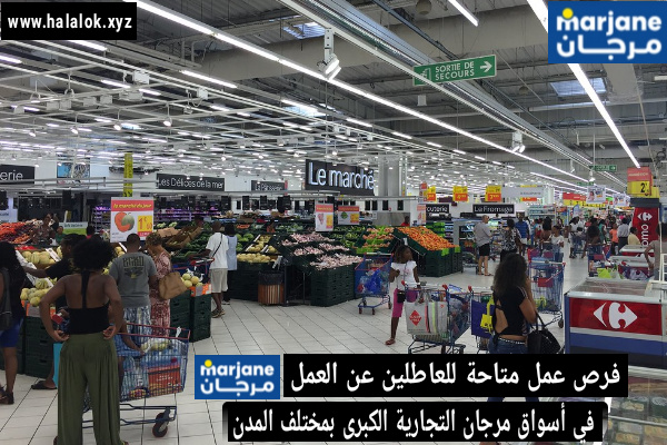 العمل في مرجان 2022 : العمل براتب 3200 درهم طريقة التسجيل العمل في مرجان 2022 : العمل براتب 3200 درهم طريقة التسجيل