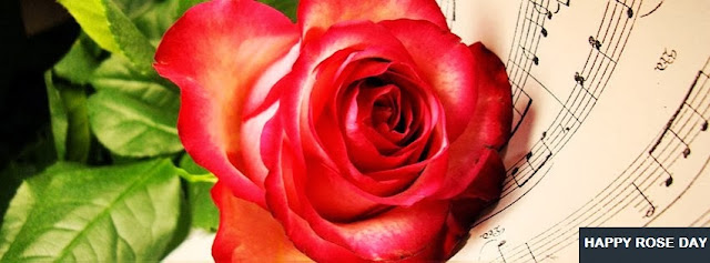 Happy Rose Day 