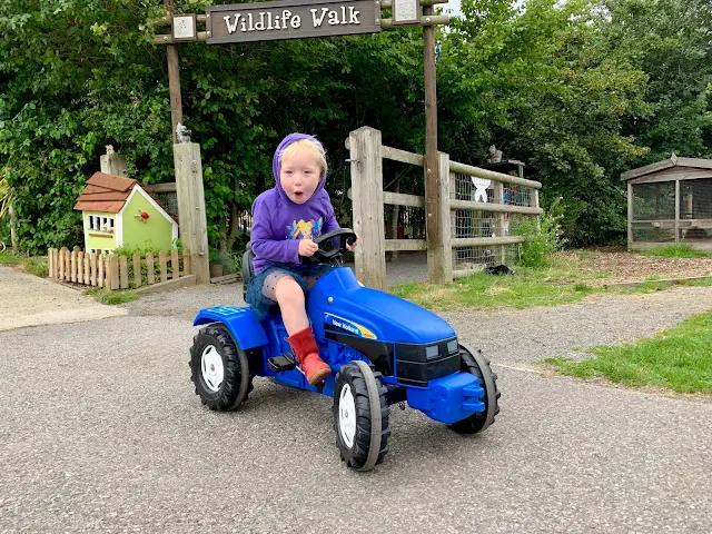 An excited 3 year old girl on a blue toy tractor