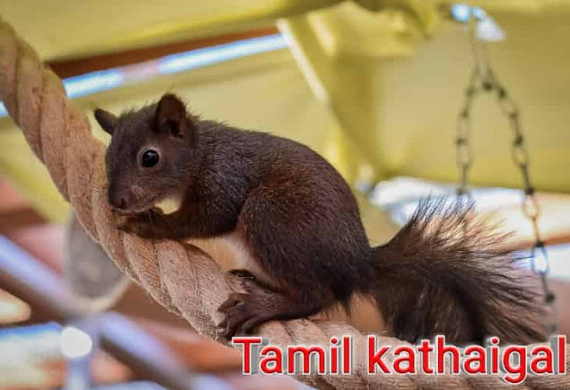 Tamil kathaigal