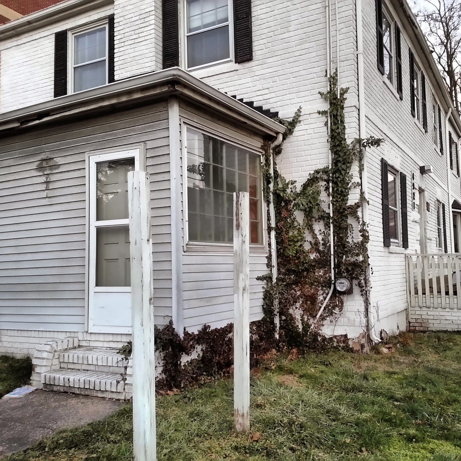 Robert Dyer Bethesda Row HAMPDEN LANE VET AND BETHESDA NATIVE