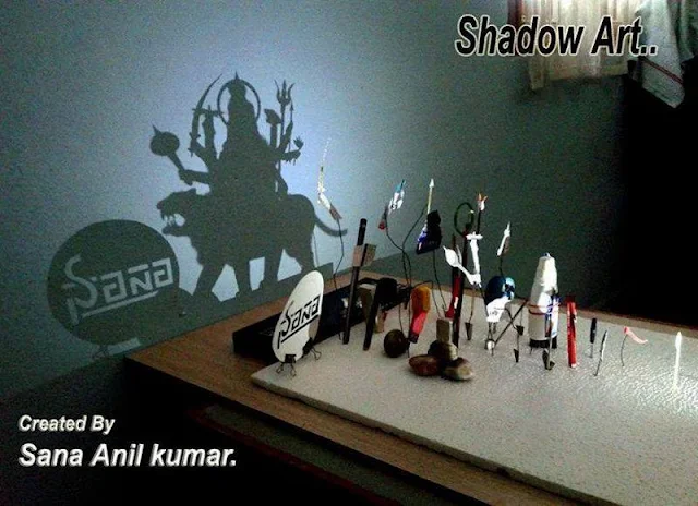 Shadow Art by Sana Anil Kumar: : A Fusion of Science and Creativity