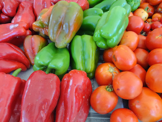 COSECHA DE PIMIENTOS CUATRO CARAS ROJOS Y VERDES.