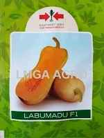 waluh, labu kuning, butternut squash, labu madu, lmga agro