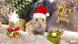 マウスとラットの年のカラフルなクリスマスカード 2026. マウスの年に無料、美しいライブクリスマスカード
