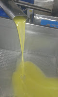 olio extravergine d'oliva 100% italiano