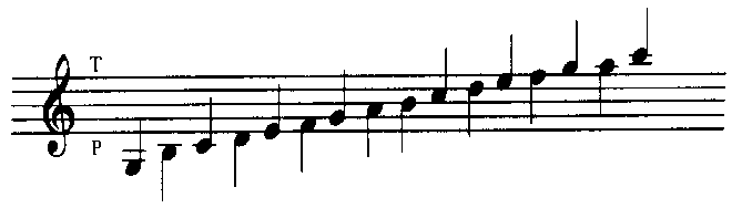 Accordéon Classique, Harmonique, Guimbarde Instrument Musical