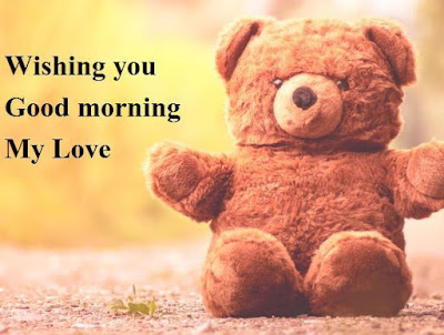 teddy bear teddy bear