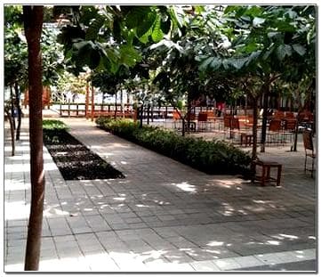 Menarik Inilah 5 Aktivitas Seru Di Kampung Coklat Blitar Wisatamantul Com