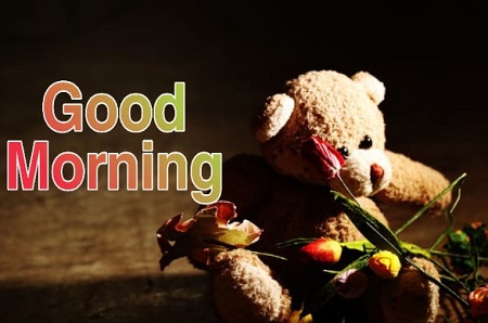 Share chat Good morning images Share chat Good morning images