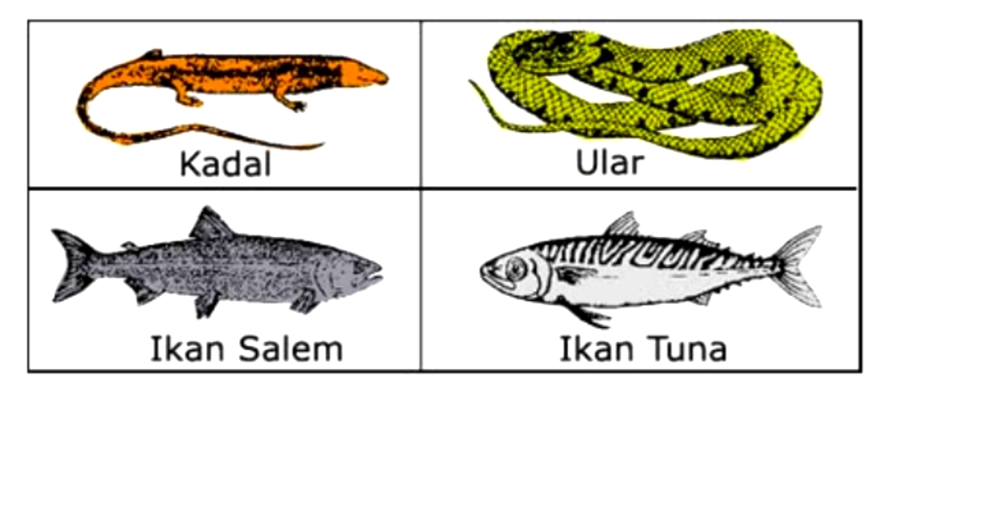 Materi Biologi SMA Tentang Klasifikasi Sistem Buatan, Alami Dan Kunci
