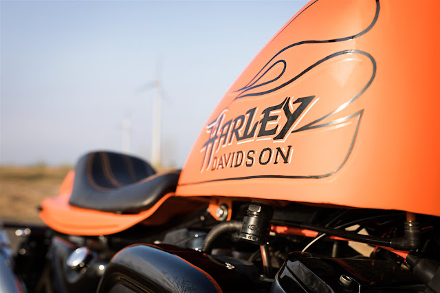 Harley Davidson Sportster XL883 By WS-Motorradtechnik Hell Kustom