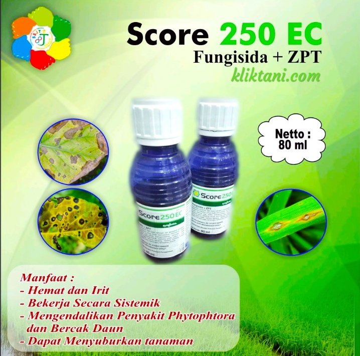 7 Merk Fungisida Sejenis Amistartop Yang Paling Top Markotop Kliktani Com