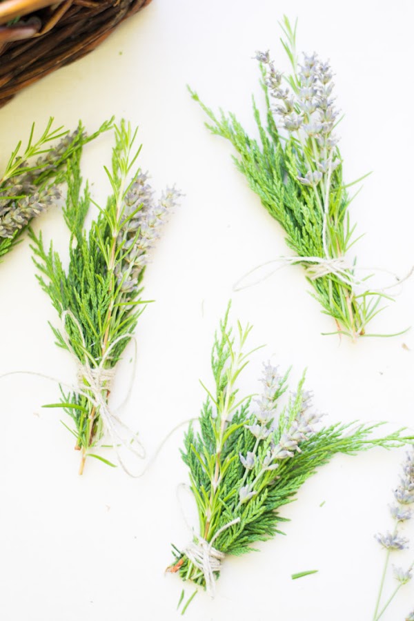 Ramilletes plantas diy