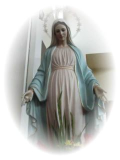 Vergine maria Immacolata Stella dell'Evangelizzazione