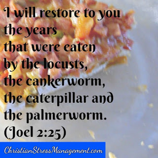 I will restore to you the years that were eaten by the locusts, the cankerworm, the caterpillar and the palmerworm. (Joel 2:25) 