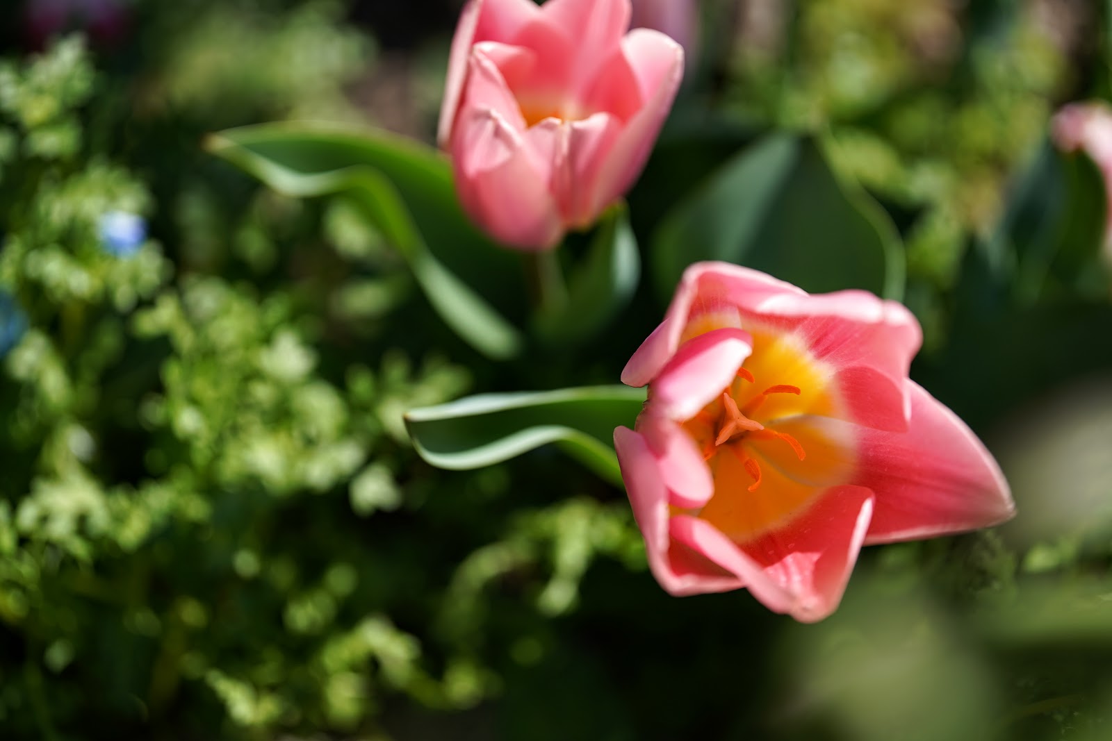 DSC02503.JPG