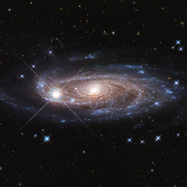 Giant Spiral Galaxy UGC 2885