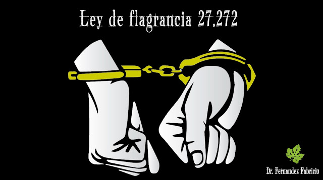 Ley de flagrancia 27.272 en Mendoza. In fraganti