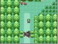 Pokemon Ultrameme Adventure Screenshot 02