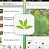 Plant Net - Pl@ntNet - App para identificar plantas