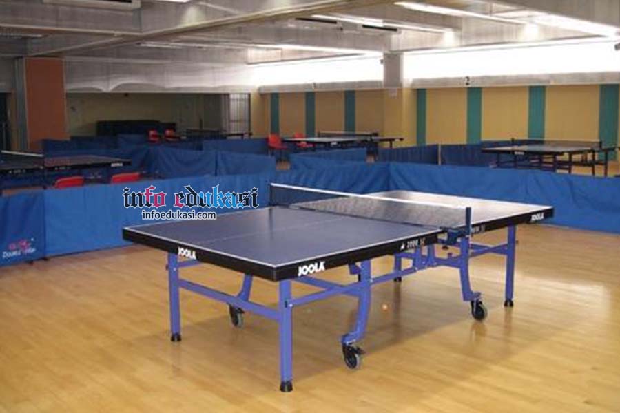 Gambar Lapangan Tenis Meja Beserta Ukurannya Dan Keterangannya Info Edukasi