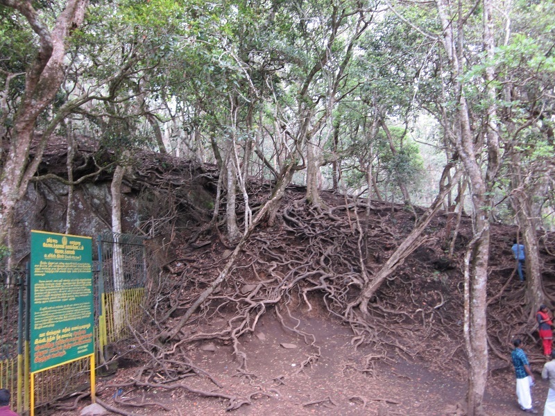 Tamilnadu Tourism Guna Caves (Devil’s Kitchen), Kodaikanal