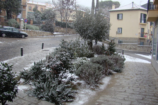 Parterre en vía urbana.