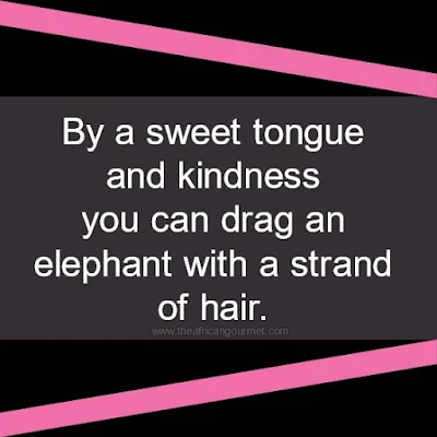 By a sweet tongue and kindness, you can drag an elephant with a strand of hair.