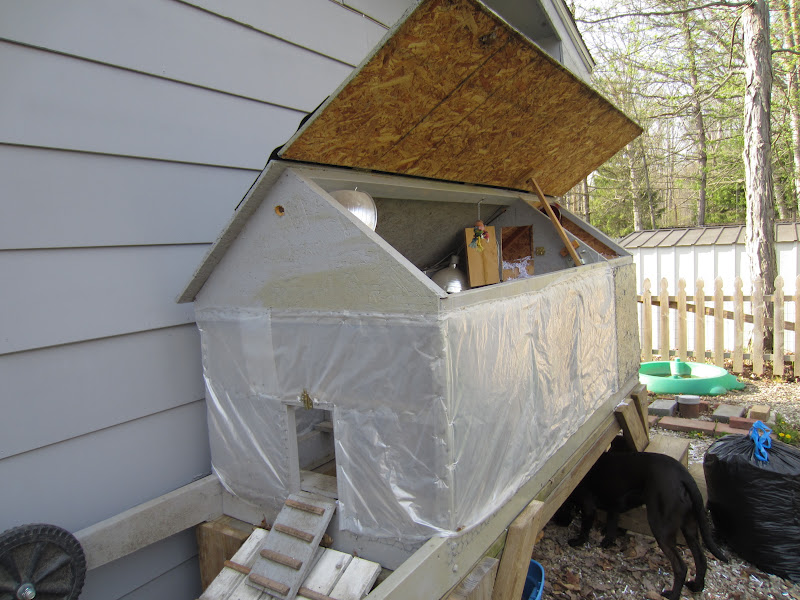 Sparing Change Recycled Chicken Bedding