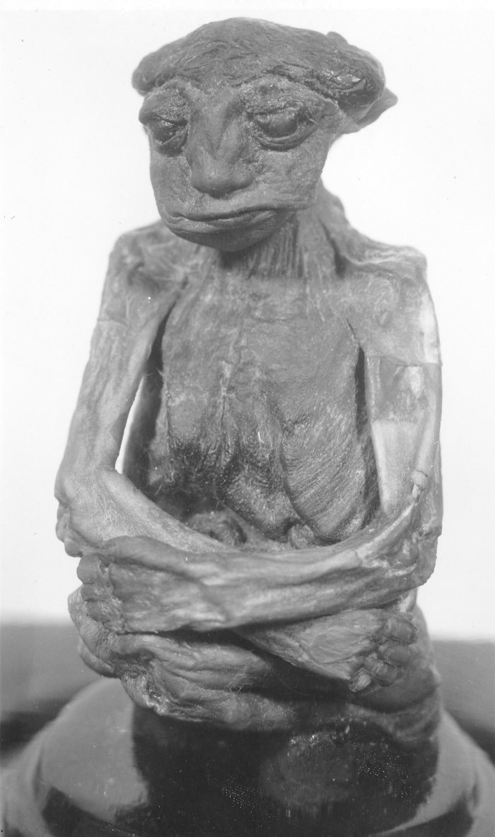 San Pedro Mummy