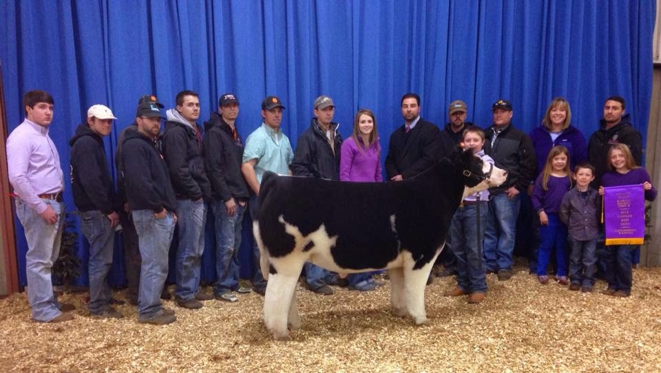 DIAMOND G CATTLE CO. KS Beef Expo