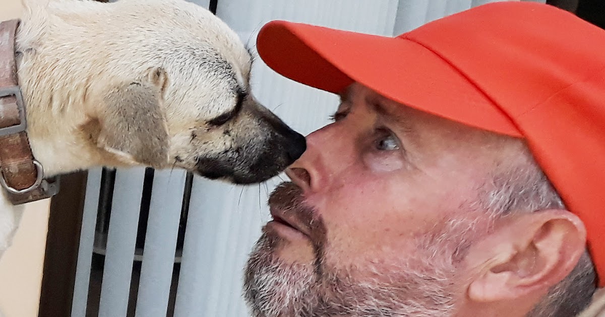 Colin cotterill biography picture