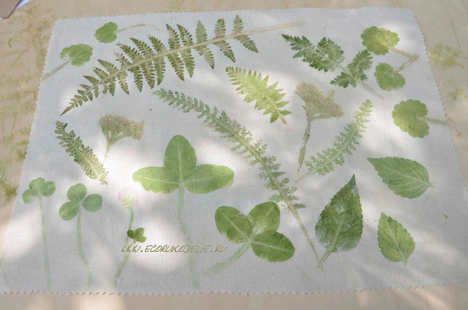 Отпечатки растений на ткани