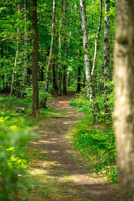 Wanderung im Zeitsprungland | Vom Stausee Oberwald nach Mühlau | Wandern in Sachsen | Tourismusregion Zwickau 14