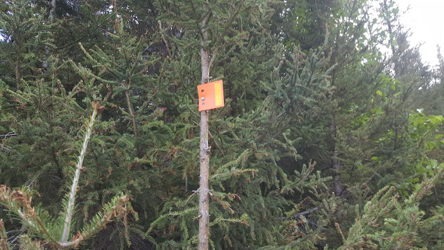 Balise du sentier Balise du sentier pour le mont Vallières-de-Saint-Réal