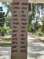 hindi bala work