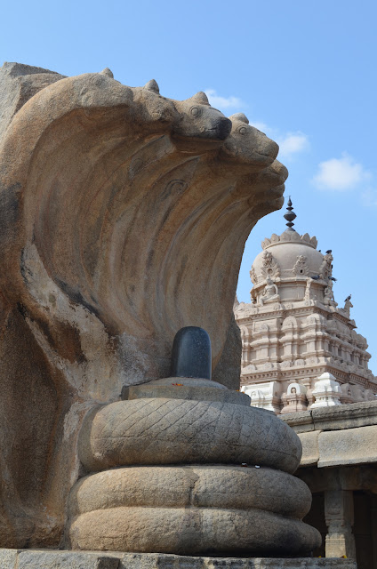 Statue of Naga sheltering Shivalingam, Lepakshi, Andhra Pradesh