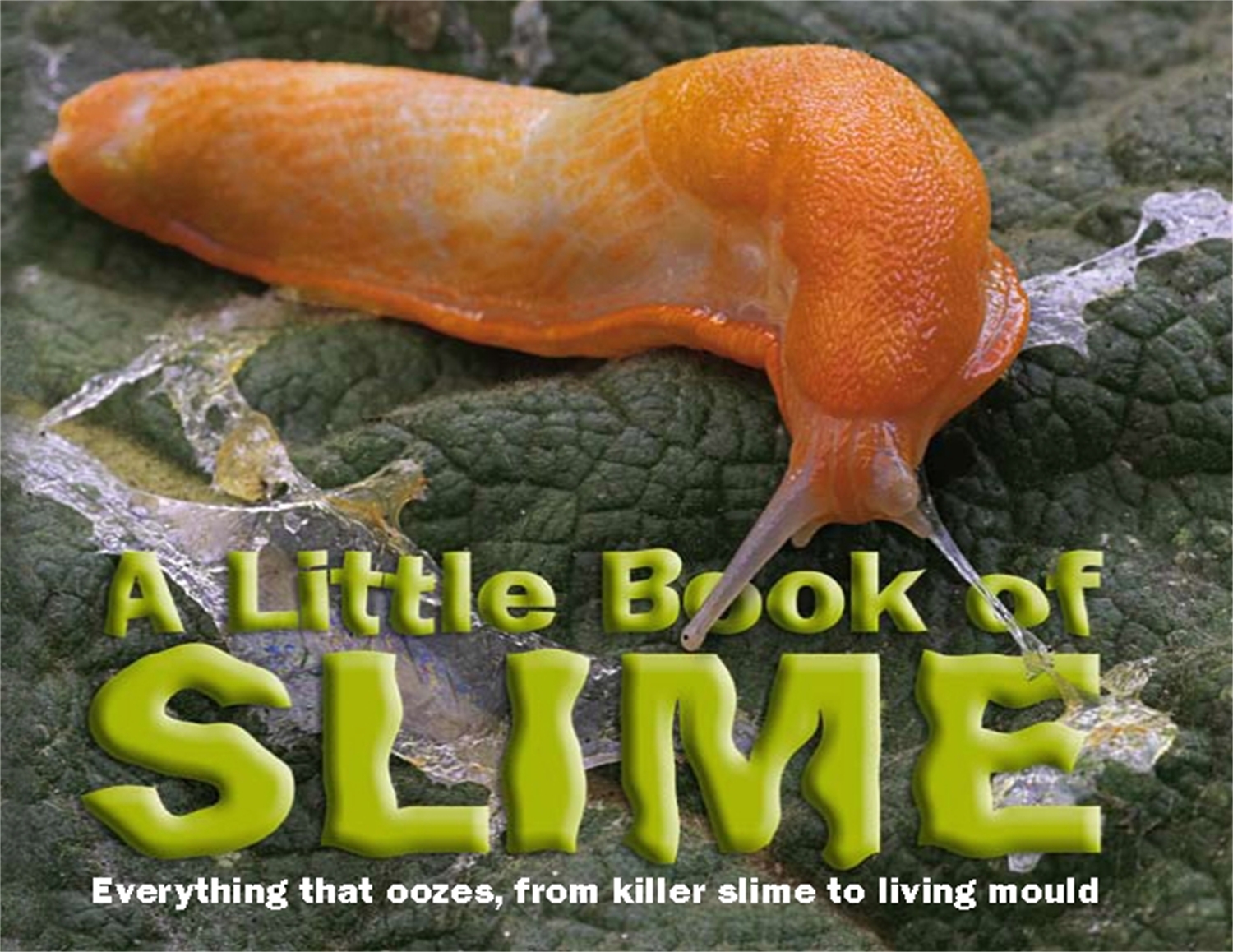 Слайм книга. Слизни книга. Killer Slime. Убийцы СЛАЙМЫ.