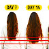 how much does hair grow in a month