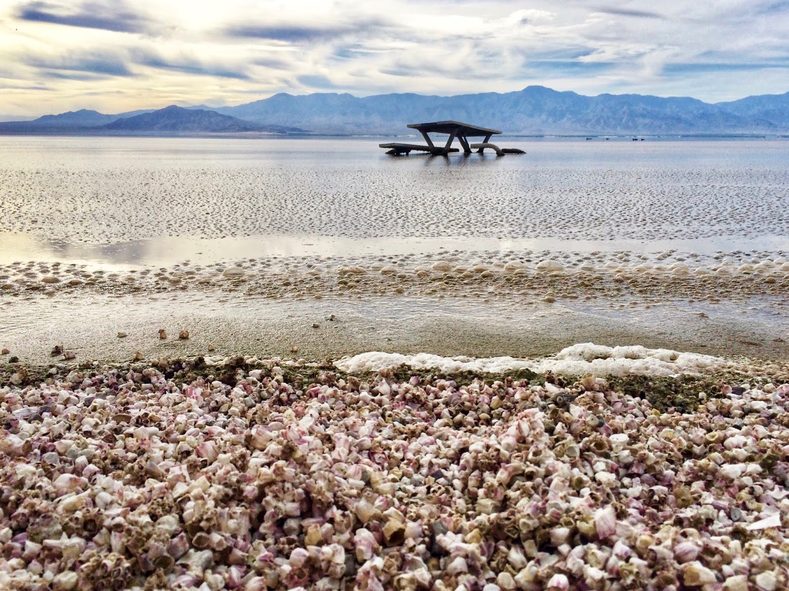 The Salton Sea A Ghostly Lake in the Desert La Vida is Belle