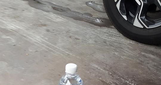 Hidu Ubat Gegat  Anectams