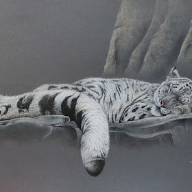 08-Snow-Leopard-Martin-Aveling-Animal-Portraits-www-designstack-co