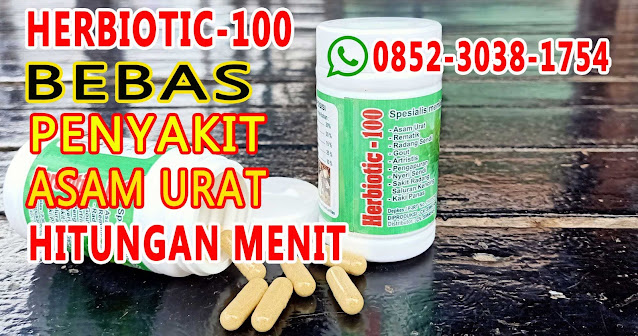 obat asam urat ampuh alami obat asam urat ampuh alami