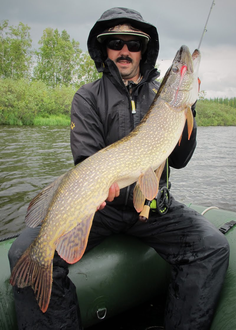 800px x 1119px - Pike fly-fishing articles: Readers fish porn