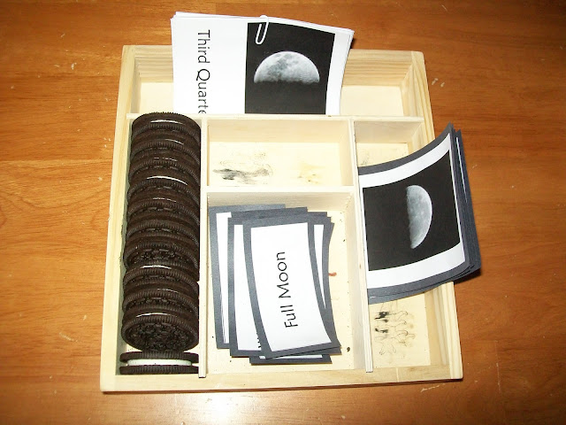 Moon Phases