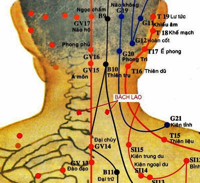 Vị trí huyệt bách lao