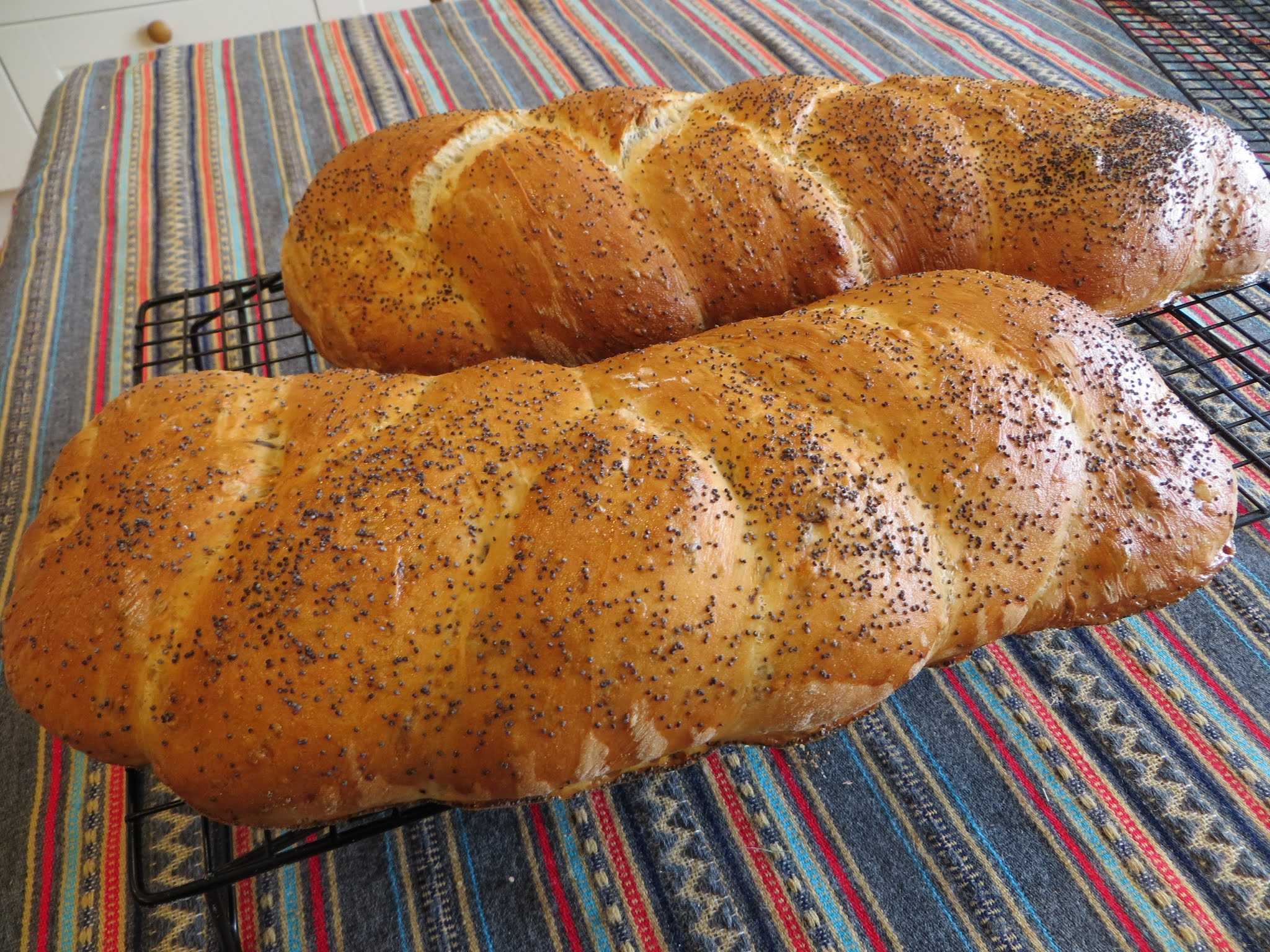 Three strand Multiseed Plait using Sourdough Discard.