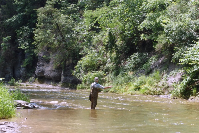 Life in the Slow Lane (The Pearl) June 28 Salmon Creek, Lansing, NY