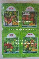 usaha kecil, budidya tanaman, jual benih hibrida, harga promo, toko pertanian, online, lmga agro